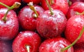 Beautiful bouquet of cherries. Fresh ripe red berries, stems and drops of water. Selective focus