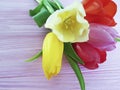 Beautiful bouquet of colored tulips petal season holiday bunch blossom birthday a pink wooden with space for text