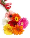 Beautiful bouquet of colorful gerbera flowers
