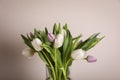 Beautiful bouquet of colorful tulips in glass vase on beige background Royalty Free Stock Photo