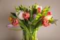 Beautiful bouquet of colorful tulips in glass vase on beige background Royalty Free Stock Photo