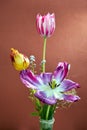 bouquet of colorful tulips in a glass vase Royalty Free Stock Photo