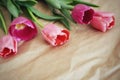 Beautiful bouquet of tulips Royalty Free Stock Photo