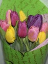 Beautiful Bouquet of colorful tulips wrapped green paper. Royalty Free Stock Photo