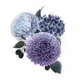 Beautiful bouquet composition with watercolor blue hydrengea and dahlia flowers and blackberry. Stock illustration.