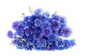 Beautiful bouquet of cornflowers isolated