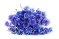 Beautiful bouquet of cornflowers isolated Royalty Free Stock Photo