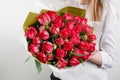 Beautiful bouquet Crimson tulip with in woman hand . colorful color mix flower