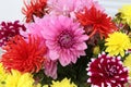 A beautiful bouquet of dahlias in a vase Royalty Free Stock Photo