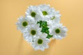 Beautiful bouquet of daisies on a yellow background. White chrysanthemum, top view. Beauty concept Royalty Free Stock Photo