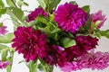 Beautiful bouquet of dark red, burgundy peonies on a white background. Fresh peony flowers with green leaves