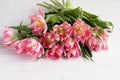 Beautiful bouquet delicate pink tulips on a white background. Holiday concept