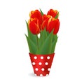 Beautiful bouquet of five tulips on a transparent background. Spring flowers with long green leaves.