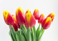 Beautiful bouquet flower red and yellow tulips isolated vase and white background Royalty Free Stock Photo