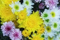 Beautiful bouquet flowers blur. Royalty Free Stock Photo
