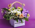 Beautiful bouquet of flowers in lilac wooden basket on purple background. Orchids, chrysanthemums, lilies, chamomiles floral