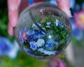 Beautiful bouquet of flowers in purple, pink and blue through a glass crystal ball giving a mystic snow globe effect Royalty Free Stock Photo