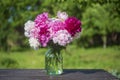 Beautiful bouquet of flowers with red, pink and white peony in garden Royalty Free Stock Photo