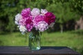 Beautiful bouquet of flowers with red, pink and white peony in garden Royalty Free Stock Photo