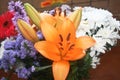 Flowers and colors, Orange Lilies