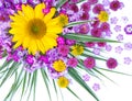 A beautiful bouquet of flowers of sunflowers, chrysanthemums, phloxes Royalty Free Stock Photo