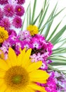 A beautiful bouquet of flowers of sunflowers, chrysanthemums, phloxes Royalty Free Stock Photo