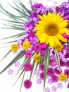 A beautiful bouquet of flowers of sunflowers, chrysanthemums, phloxes Royalty Free Stock Photo