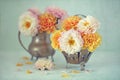 Beautiful bouquet of flowers. Royalty Free Stock Photo
