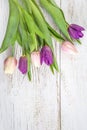 Beautiful bouquet of fresh pink and purple tulips with water drops on white paint wooden background Royalty Free Stock Photo