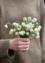 Beautiful bouquet of fresh white snowflakes, early spring flowers in girls hands. Royalty Free Stock Photo