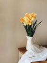 Beautiful bouquet of fresh yellow daffodil flowers in full bloom Royalty Free Stock Photo