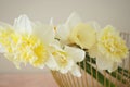 Beautiful bouquet of fresh yellow daffodil flowers in vase against beige background, close-up. Spring blossoms Royalty Free Stock Photo