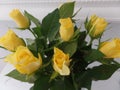 Bouquet of fresh yellow roses