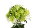 Beautiful bouquet of green flowers on white background