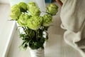 Beautiful bouquet of green roses in vase on floor in room Royalty Free Stock Photo