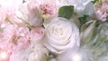 A beautiful bouquet of light pink spray roses. The bride`s bouquet with the glare of the sun. Postcard view. Copyspace. Romantic Royalty Free Stock Photo