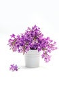 Beautiful bouquet of lilac in a decorative vase