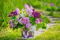 Beautiful bouquet of lilac in the garden