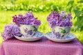 Beautiful bouquet of lilacs, lilac flowers in cups and saucers, spring still life with a green background Royalty Free Stock Photo