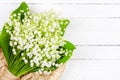 Beautiful bouquet of Lily of the valley flowers in a basket on a white wooden background with a copy space close up top view. Royalty Free Stock Photo