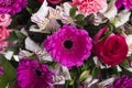 Beautiful bouquet of many colorful flowers Royalty Free Stock Photo