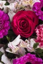 Beautiful bouquet of many colorful flowers Royalty Free Stock Photo