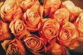 Beautiful bouquet of orange roses Royalty Free Stock Photo