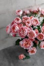 A beautiful bouquet of pink-cream peony roses in a dark vase on a light table. Royalty Free Stock Photo