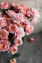 A beautiful bouquet of pink-cream peony roses in a dark vase on a light table. Royalty Free Stock Photo