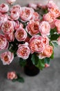 A beautiful bouquet of pink-cream peony roses in a dark vase on a light table. Royalty Free Stock Photo