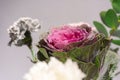 Beautiful bouquet of pink, grey and white carnation flowers, fresh eucalyptusas and violet brassica flower Royalty Free Stock Photo