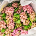 Beautiful bouquet of pink hyacinths. Mother`s day. Royalty Free Stock Photo