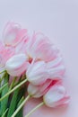 Beautiful bouquet of pink pastel tulip flowers