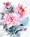 Beautiful bouquet of pink peonies with leaves on blue background. Watercolor painting.